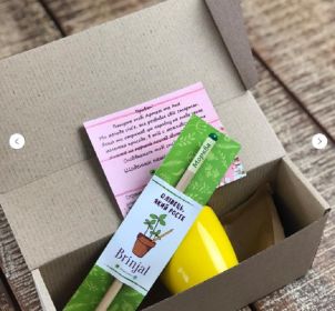 Living growing seed sprout wood pencil kid's Melissa garden kit children's garden seed kit grow your own garden kit perfect for kids and adults
