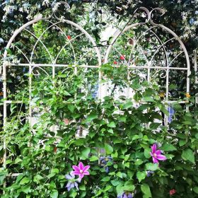 2 Pack Metal Garden Trellis 71" x 19.7" Rustproof Trellis for Climbing Plants Outdoor Flower Support Cream White