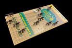 North Dakota State University Horseracing Gametop Walnut