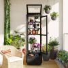 TOPMAX 62.4inch Height Wood Garden Greenhouse Balcony Portable Mini Cold Frame with Movable Storage Box and Adjustable Shelves for Outdoor Indoor Use