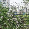 2 Pack Metal Garden Trellis 78.7" x 19.7" Rustproof Trellis for Climbing Plants Outdoor Flower Support Black