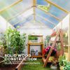 6.6 x 8 ft. Polycarbonate Greenhouse Wooden Walk-in Greenhouse Kit with Thickened Panels, Roof Vent, and Lockable Door