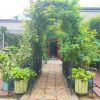 Metal Garden Arch with Plant Pot Garden Arbor Trellis Climbing Plants Support Rose Arch Black