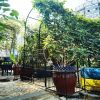 Metal Garden Arch with Gate and Plant Pot Garden Arbor Trellis Climbing Plants Support Rose Arch Black