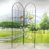 2 Pack Metal Garden Trellis 78.7" x 19.7" Rustproof Trellis for Climbing Plants Outdoor Flower Support Black