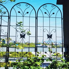 4 Pack Metal Garden Trellis 86.7" x 19.7" Rustproof Trellis for Climbing Plants Outdoor Flower Support Black (Main Color: Black, Main Material: Iron)