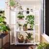 62 inch Height Wood Large Greenhouse Balcony Portable Cold Frame with Wheels and Adjustable Shelves for Outdoor Indoor Use