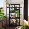 62 inch Height Wood Large Greenhouse Balcony Portable Cold Frame with Wheels and Adjustable Shelves for Outdoor Indoor Use