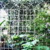 2 Pack Metal Garden Trellis 86.7" x 19.7" Rustproof Trellis for Climbing Plants Outdoor Flower Support Cream White