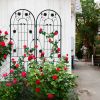 2 Pack Metal Garden Trellis 71" x 19.7" Rustproof Trellis for Climbing Plants Outdoor Flower Support Black